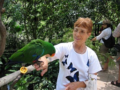 031 Birdworld Kuranda